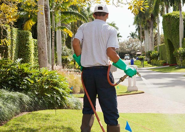 About Portlandville NY Pest Control